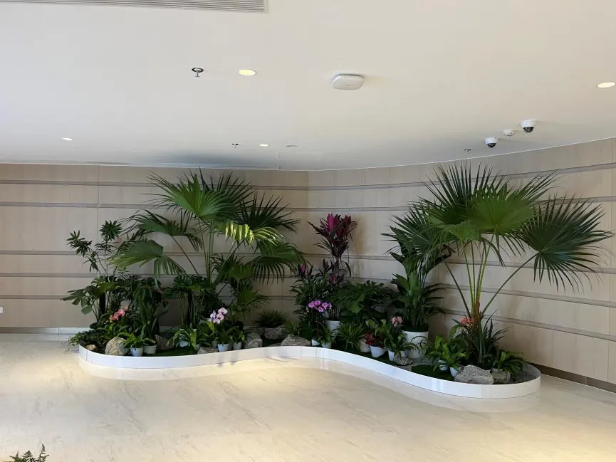 宁波绿化修剪价格实惠 宁波绿化修剪价格实惠